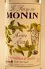 DEAMG-2384-MONIN_MINT
