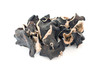 Champignons noirs