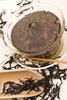 PUERH
