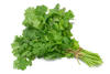 FEUILLES DE CORIANDRE