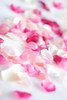 Petales de rose