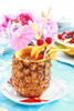 Rooibo Pina Colada