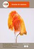 Recette Gravlax